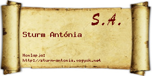 Sturm Antónia névjegykártya