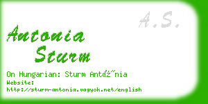 antonia sturm business card